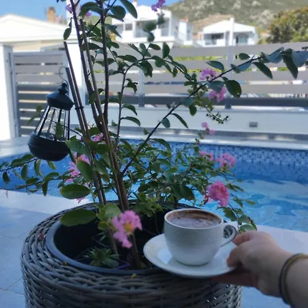 Luxury Victoria, Villa Nea Iraklitsa